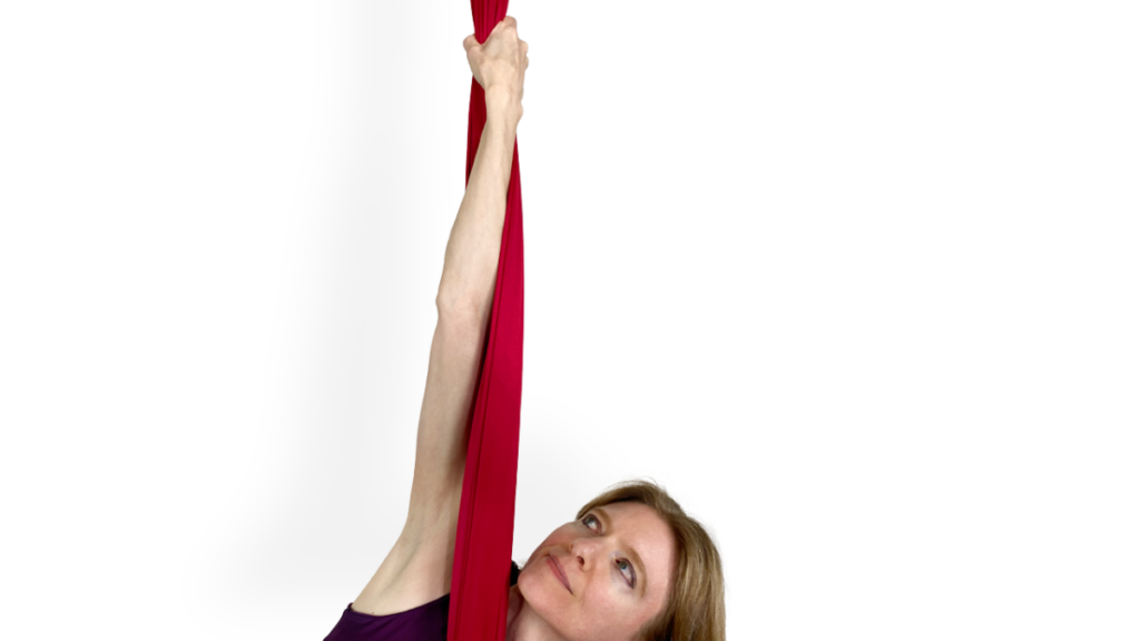 Flamenco Grip Aerial Silks Beginner Grips Video Tutorial