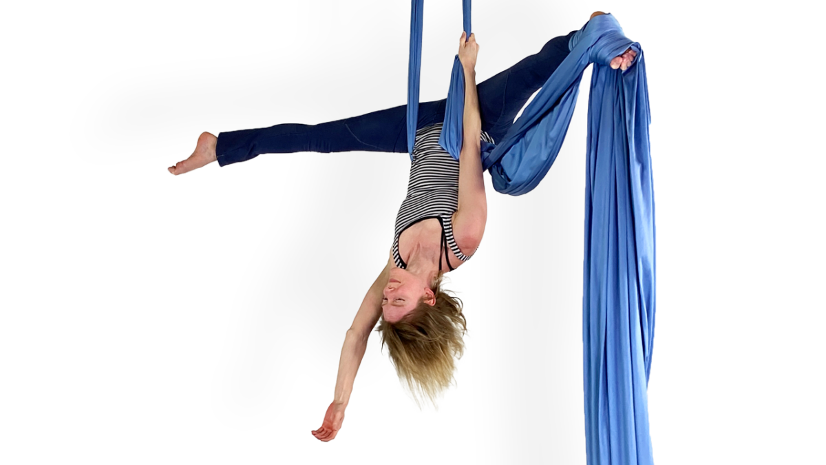 Push Me Pull You Aerial Fit Online