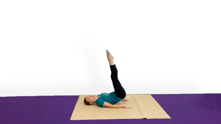 Aerial Ground Drill for Lower Ab Exercises for Inversions Butt Lifts Video Tutorial