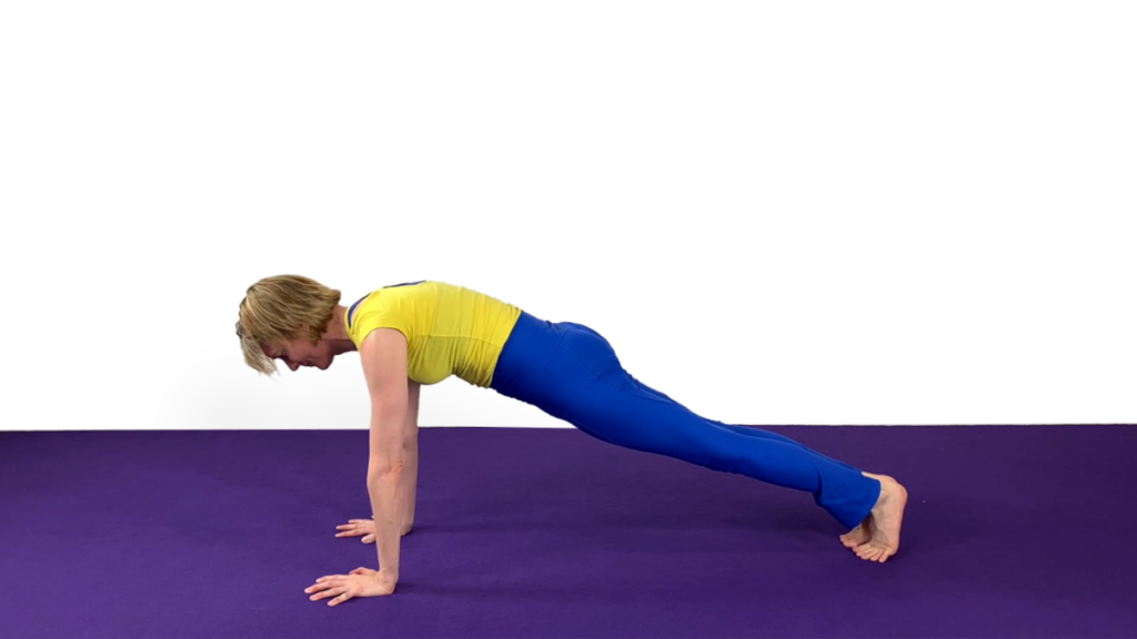 Aerial Ground Drill for Plank Video Tutorial