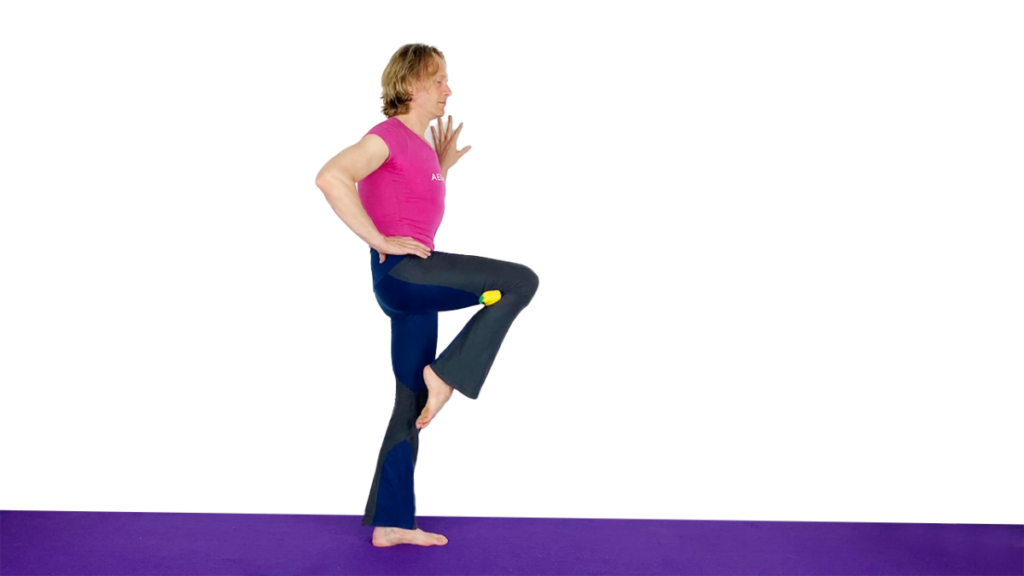 Aerial Ground Drill for Standing Knee Pinch Video Tutorial