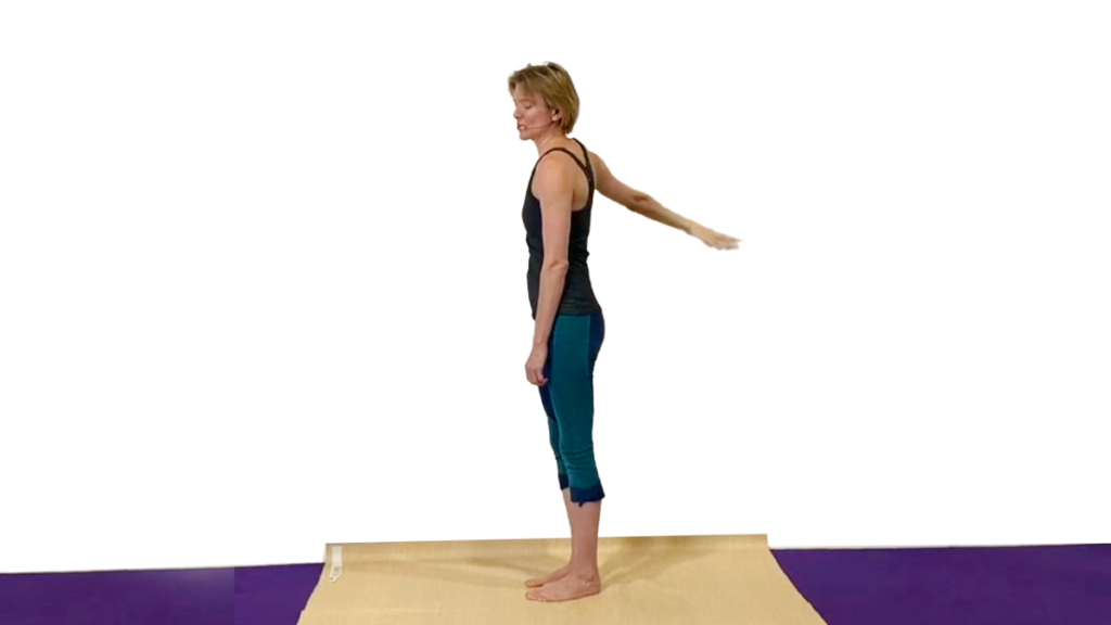 Aerial Ground Drill for Arm Circles at the Wall v2 Video Tutorial