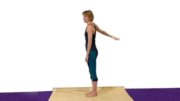 Aerial Ground Drill for Arm Circles at the Wall v2 Video Tutorial