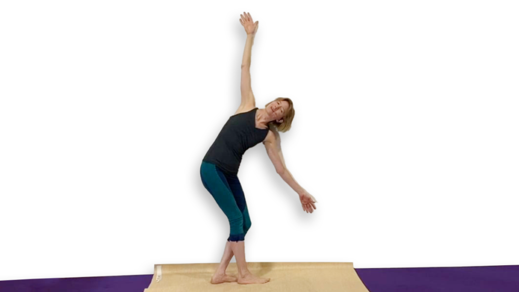 Aerial Ground Drill for Diving Under Flamenco Grip Video Tutorial