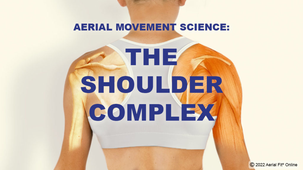 Aerialists Happy and Healthy Shoulder Course