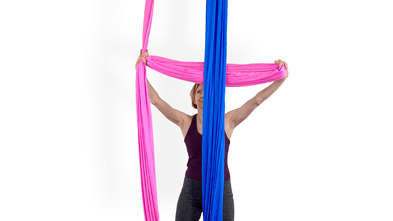 Belay Basics Aerial Fit Online