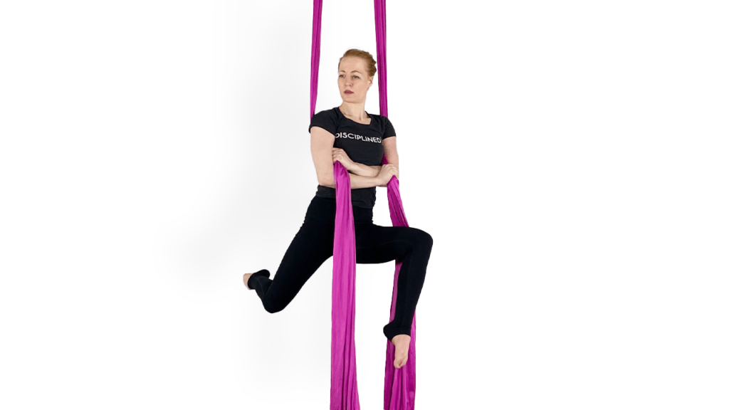 Hug Aerial Silks Beginner Video Tutorial Fabric Online Class
