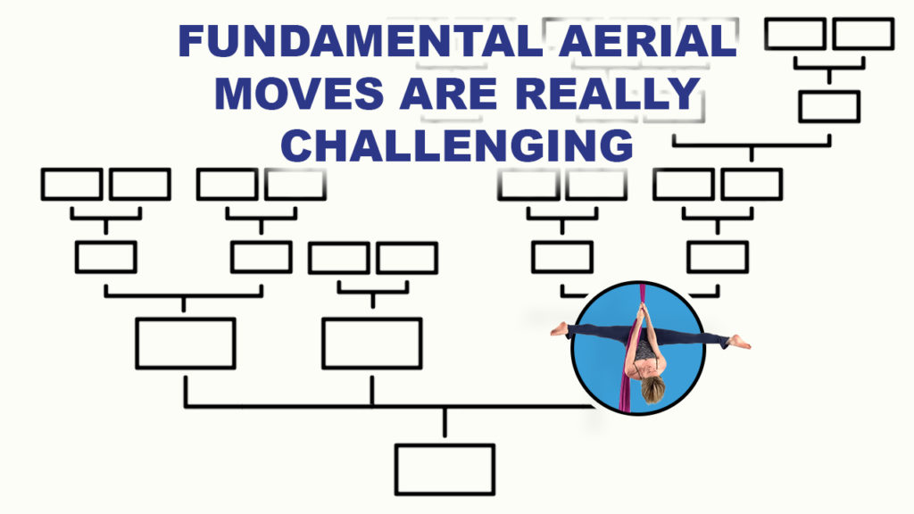 Fundamental Aerial Arts Skills Are Challenging Continuing Education Video Library for Aerial Teachers