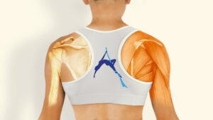 Aerialists Happy and Healthy Shoulder Course