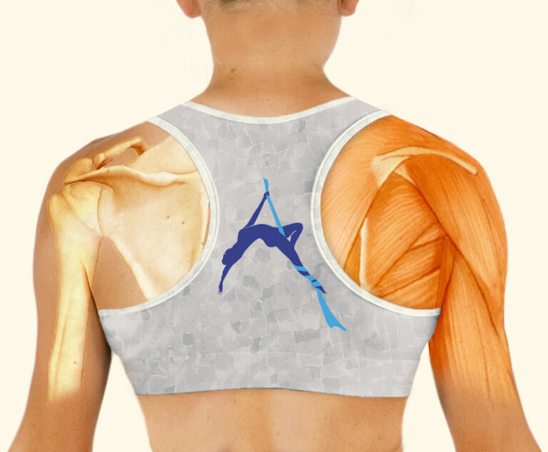 Aerialists Happy and Healthy Shoulder Course