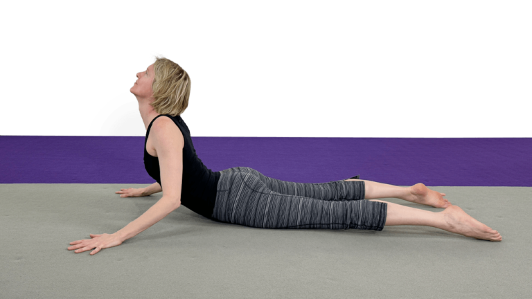 Cobra Variations Ground Drill for Aerialists Video Tutorial