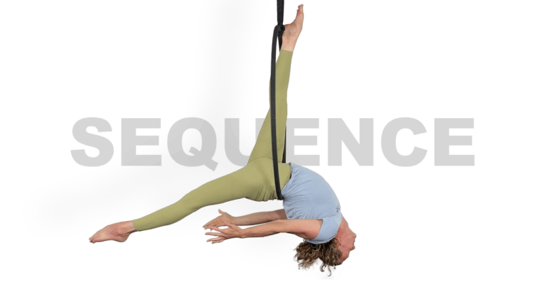 Dragon Fly to Foot Flag Low Hoop Sequence Aerial Hoop Video Tutorial Lyra Online Class