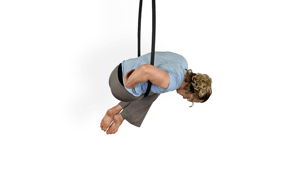 Sleeper roll aerial fit online