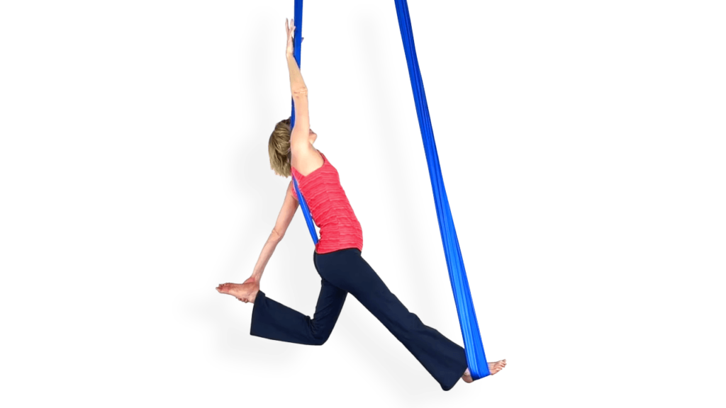 Profile Sits and Stands Aerial Sling Video Tutorial Beginner Fundamental skill Hammock Online Class
