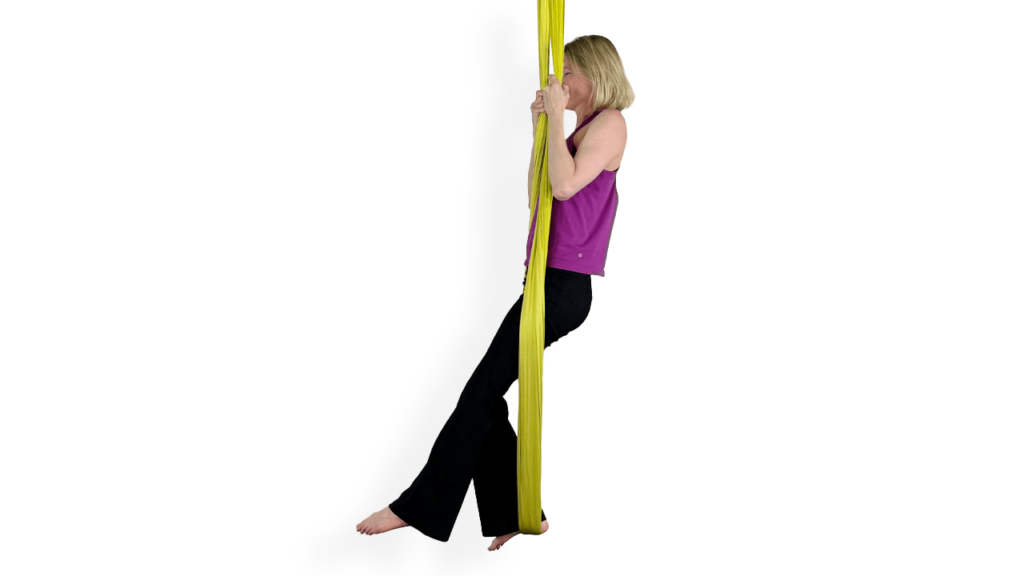 Standing Pull Ups Aerial Sling Video Tutorial Beginner Conditioning Hammock Online Class