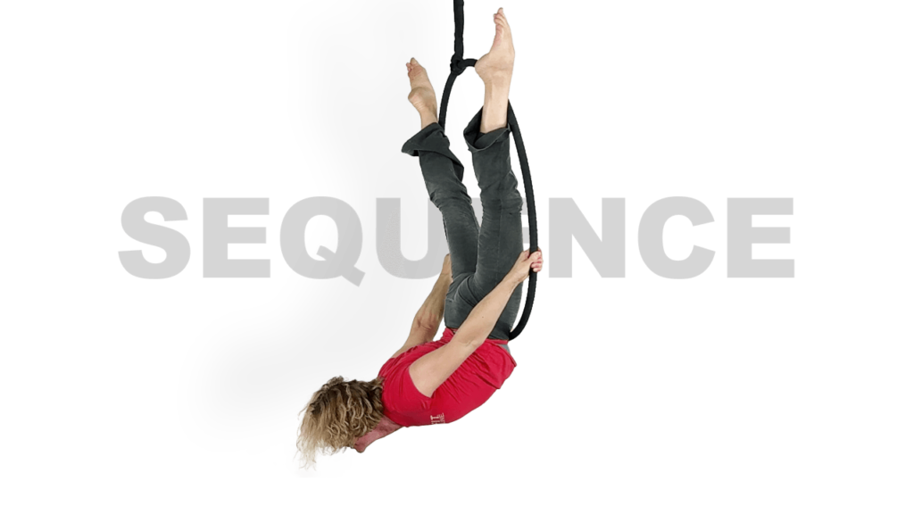 Twisted Scissor to Front Balance Bird's Nest Sequence Aerial Hoop Video Tutorial Intermediate Lyra Online Class