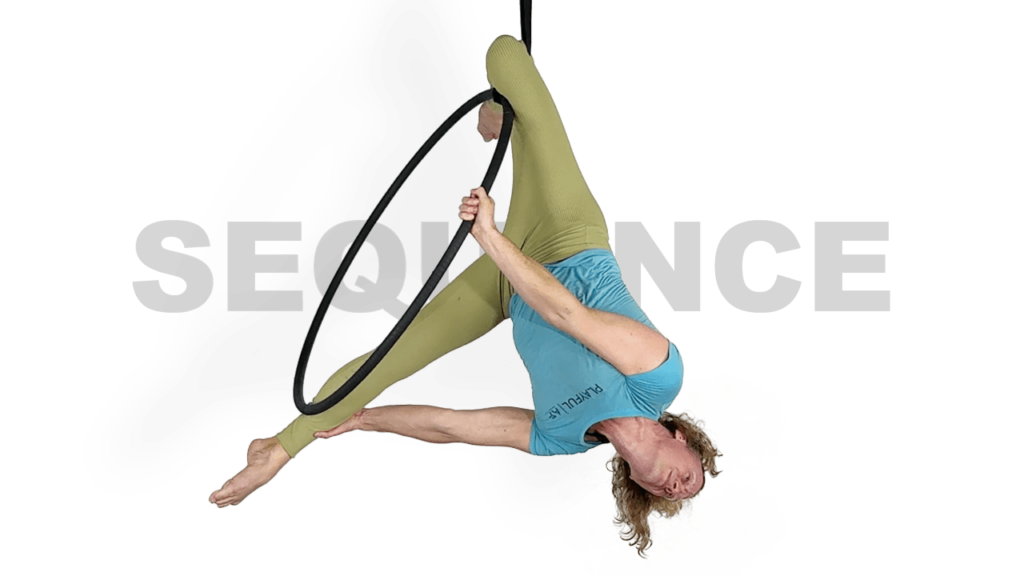 Single Knee Hook in the Spanset to Standing Y Sequence Aerial Hoop Video Tutorial Lyra Online Class
