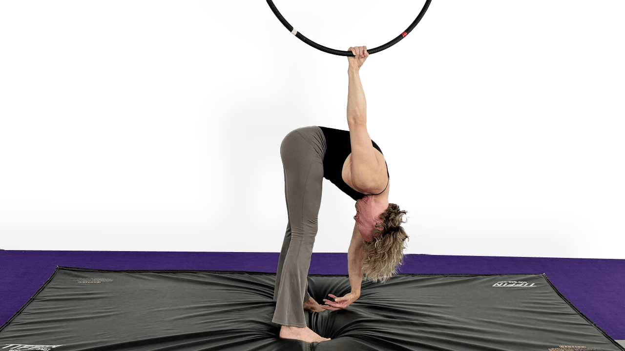 Single Arm Shoulder Rotations | Aerial Fit Online